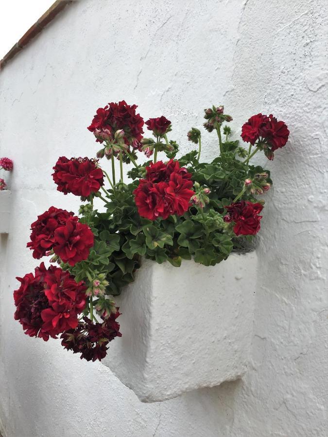 Casa Las Torres B&B Iznate 外观 照片
